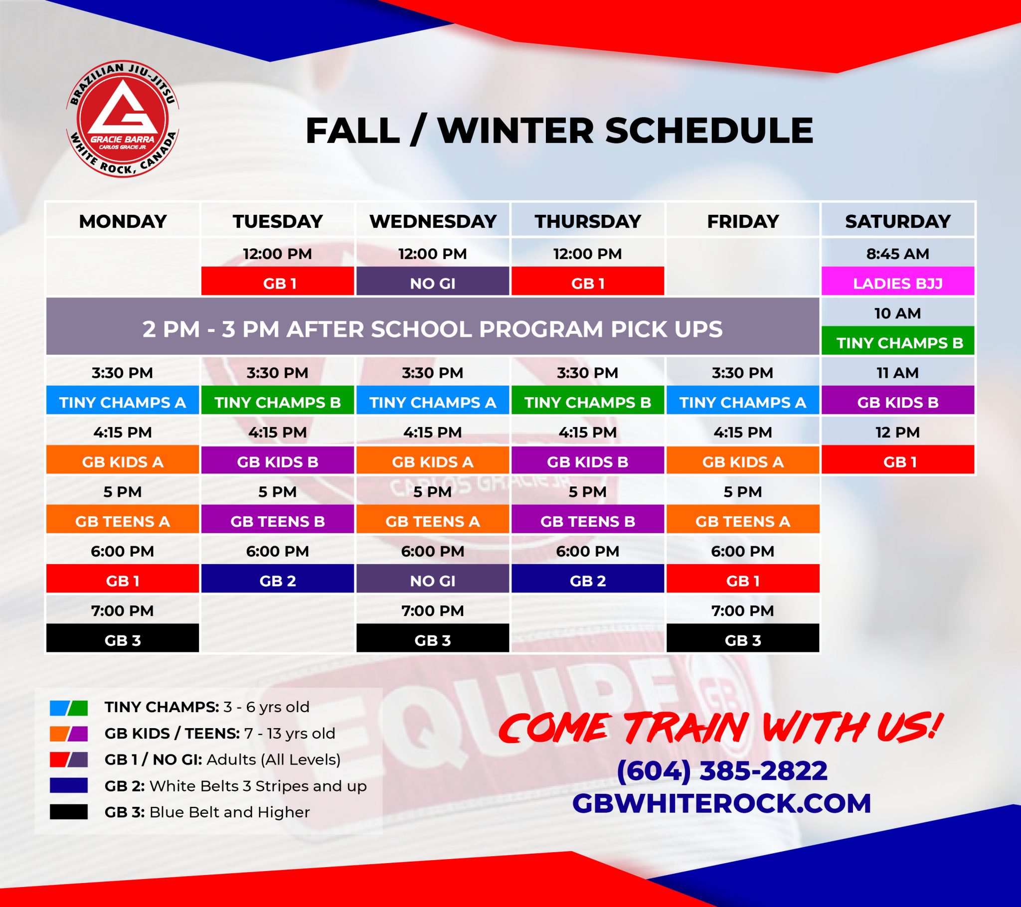 Schedule Gracie Barra Whiterock